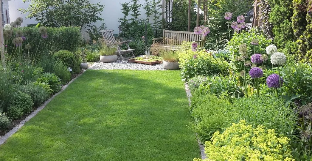 Schmaler Privatgarten mit gepflegtem Rasenstreifen und beidseitigen Staudenbeeten – blühende Allium-Kugelblumen in Lila und Weiß, Ziergräser und Gartenbank im Hintergrund