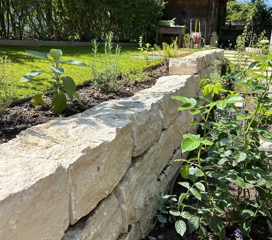 Natursteinmauer aus Kalkstein mit Bepflanzung – Trockenmauer mit Polsterpflanzen in Fugen, Gartensituation