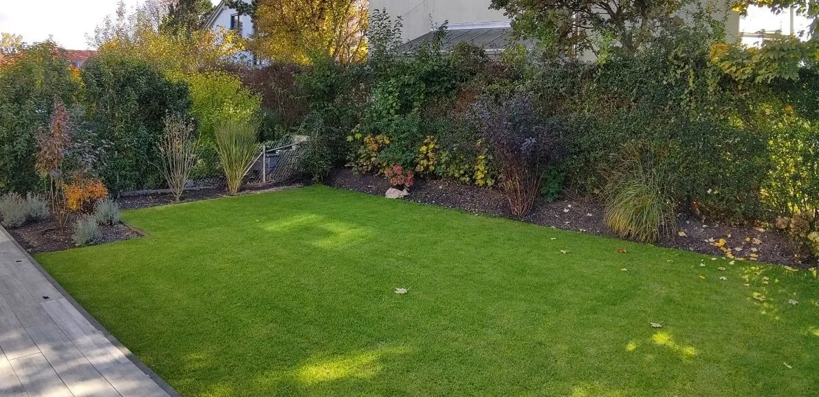 Fertig angelegte Rasenfläche im Garten – gleichmäßiger grüner Rasen, sauber angrenzendes Beet