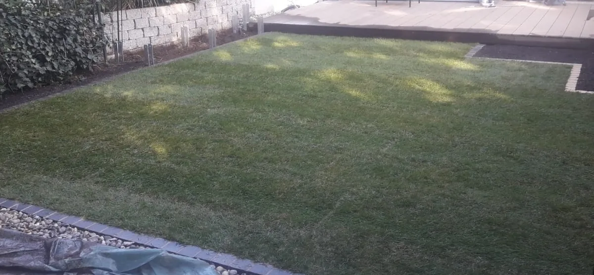 Fertig verlegter Rollrasen neben Terrasse – gleichmäßige grüne Fläche direkt an Terrassenplatten angrenzend